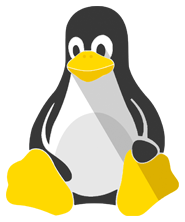  Proxy server for Linux